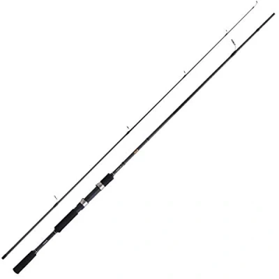Image de Shimano FX XT 2.70m (10 30g) Spinhengels