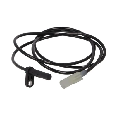 Image de Capteur, vitesse de roue DELPHI SS21317 12B1