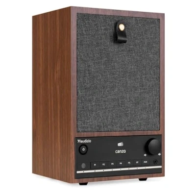 Image de Audizio Canzo Radio Internet WiFi avec DAB/FM et Bluetooth Bouleau, au Design Rétro, Panneau Amovible
