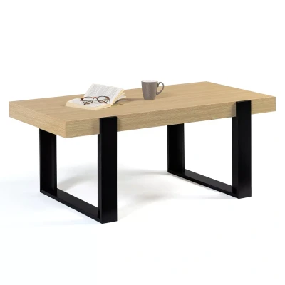 Image de Table de salon style industriel bois et noir