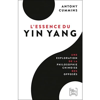 Image de L&#039;Essence du Yin Yang Une exploration de la philosophie chinoise des opposés