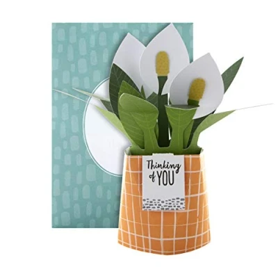 Image de Hallmark Carte pop up Motif contemporain de fleurs lys la paix