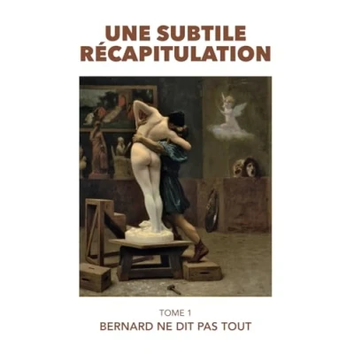 Image de Une subtile récapitulation: Tome 1 Bernard ne dit pas tout