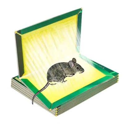 Image de Piege a Souris, 6 Plaques Collantes Pièges à Rats, de glu Anti Souris Rat