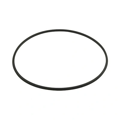 Image de Hayward Dex2422z2 Métal renforcé filtre Joint de remplacement pour certaines filtres