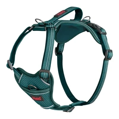 Image de Harnais pour Chien HALTI Anatomy avec poignée Offre à Votre Une liberté de Mouvement Promenade Confortable. 3 Points d’Attache, Réglable et Réfléchissante (Taille XS, Sarcelle)