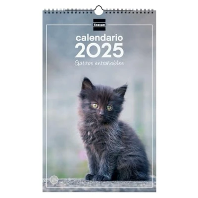 Image de Finocam Calendrier mural spirale pour écrire 2025 mois vue janvier décembre (12 mois) Chatons espagnols