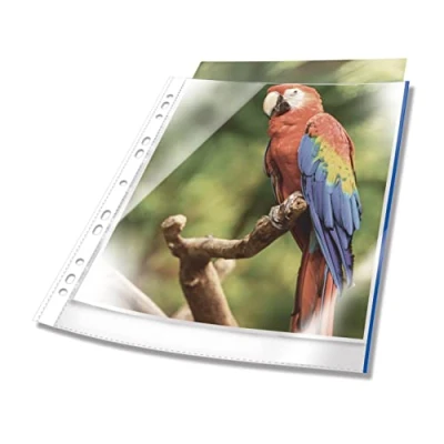Image de DURABLE Pochettes perforés transparentes PREMIUM A4 à bords colorés 10 pièces Bleu 265406