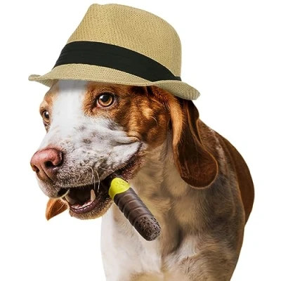 Image de AmeizPet Jouet Chien Indestructible Saveur De Boeuf, Jeu Résistant Os a Macher pour Chien, Chiot, 100% Nylon Occupation Grand, Médium