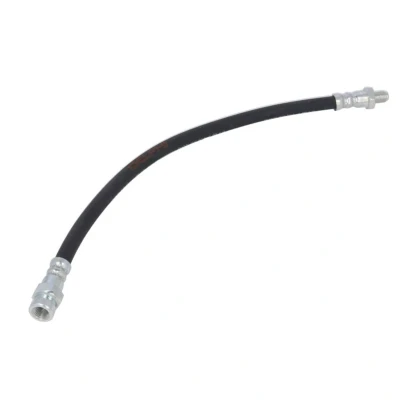 Image de DELPHI LH7170 Flexible De Frein 359 M10x1 INT DF