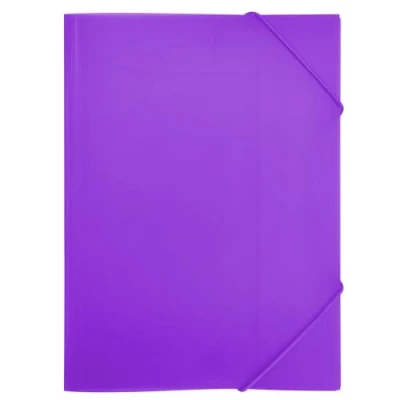 Image de RAYLU PAPER Classeur avec élastiques et rabats Format A4, classeurs de rangement pour documents, bureau école, en polypropylène 100% recyclable (A4, violet)