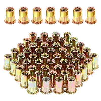 Image de Gueenky 100 Pièces Écrou à Rivet M8 Fileté Tête Plate, Écrous Riveter Fileter en Acier au Carbone Zingué, Assortiment Inserts Filetés pour Métal Plastique (14 mm x 18 mm)