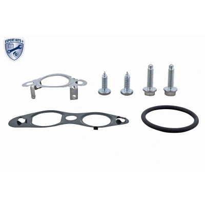 Image de VEMO V25 63 9031 Jeu de joints d&#039;étanchéité, système EGR PEUGEOT: 308 I 3/5 portes, 807, 508 SW, CITROËN: Jumpy II Van, C5 3, C4 Picasso 1
