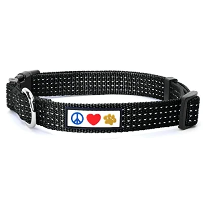 Image de PAWTITAS Collier Chien reflechissant pour Chiot Animal Compagnie Accessoire Colliers Chiens Petit Colier Noir S