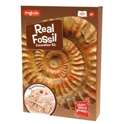 Image de MAGNOIDZ Geology Kit d&#039;excavation pour fossiles, SC250, Coloris Assortis Version Anglaise