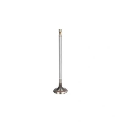 Image de FRECCIA R6590/SCR soupape d&#039;Admission 26,6 Tige de chromée FIAT: Grande Punto 3/5 portes, Doblo II Van / Break