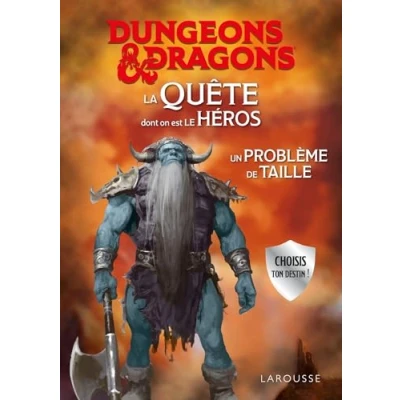 Image de DUNGEONS &amp; DRAGONS La Quête dont on est le héros Un problème de taille