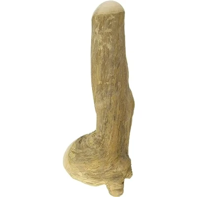 Image de Chewies Os à mâcher pour Chien, Jouet en Bois de café, 100% Naturel, bâton Chien Plus 20 kg, Taille L