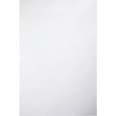 Image de Netuno Lot de 20 cartons structurés blancs gaufrés fin martelé Format A4 21 x 29,7 cm 246 g Carton ivoire ultra blanc Papier texturé pour cartes visite, certificats