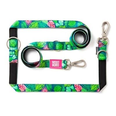 Image de Max &amp; Molly Laisse Multifonction pour Chien 2 m avec mousquetons, Tropical/XS rembourrée, sûre et Flexible Confort Votre fidèle Compagnon