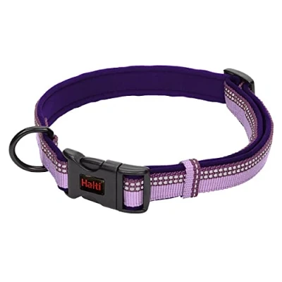 Image de Collier Confortable HALTI Un pour Chien Rembourré en Néoprène Doux Toutes les Races Réglable et Réfléchissant. Nombreuses Couleurs petits Chiens Chiots (Taille S, Violet)