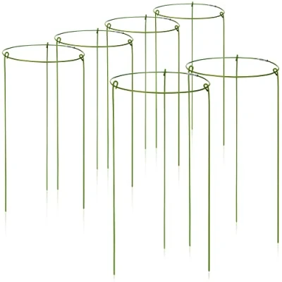 Image de com four® 6X Support Fleurs et vivaces 28cm buisson Rond pour Fleurs, vrilles Ø 14 cm