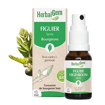 Image de Herbalgem Figuier Bio Complément Alimentaire Extrait De Bourgeon Frais Pour Digestion 15 ml