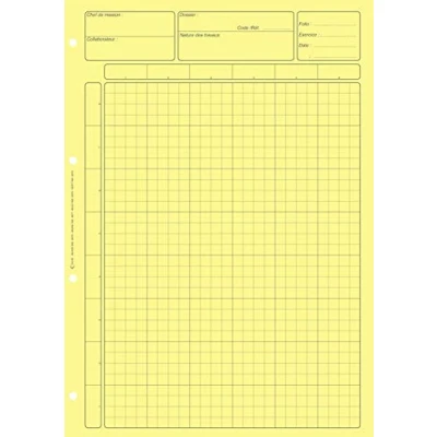 Image de BLOC AUDIT CONTROLE INTERNE 297X210 80 P. JAUNE CARREAUX AVEC EN TETE DOSSIER