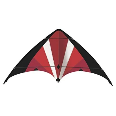 Image de GÜNTHER FLUGSPIELE 1070 Cerf volant de sport Power Move 130, débutants, voile en Ripstop Polyester indéchirable, avec roulettes pivotantes et instructions, dimensions env. 130 x 69 cm