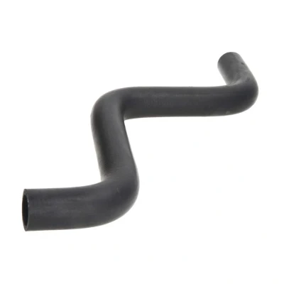 Image de SASIC SWH6622 Durite De Refroidissement droite, supérieur FIAT: Punto II 3/5 portes, Idea, LANCIA: Ypsilon
