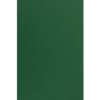 Image de Netuno 25x papier cartonné vert foncé A4 210x297mm 210g Sirio Color Foglia épais de couleur pour tickets anniversaire mariage invitations bricolage Noël cartes vœux brochures menu