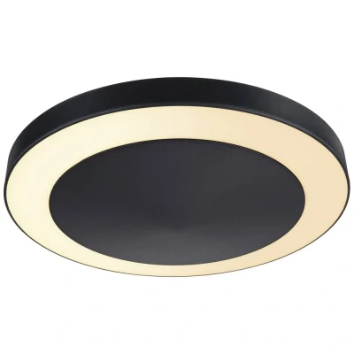 Image de Paulmann Circula lampe LED ZigBee anthracite