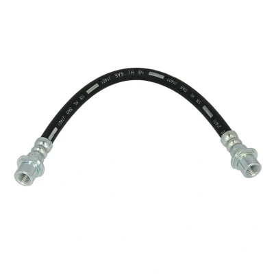 Image de DELPHI LH6087 Flexible De Frein 318 M10x1 Int SF TOYOTA: Yaris I 3/5 portes, Verso