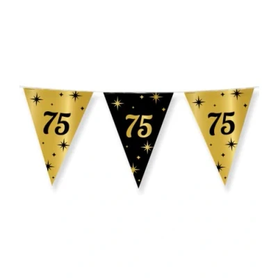 Image de Ligne de drapeau Slinger 75 ans Classy 10 mètres
