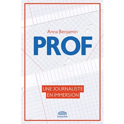 Image de Prof: Une journaliste en immersion Livre d’occasion Correct