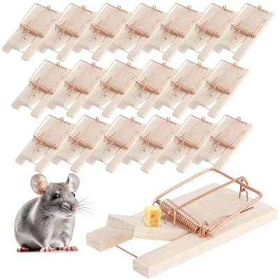 Image de com four® Piège à Souris en Bois 20x Ressort pour Une Lutte Efficace Contre Les nuisibles réutilisable avec Force d&#039;impact élevée (Piège 20 pièces)