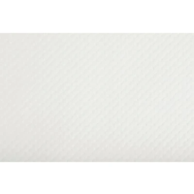 Image de Pro Nappe Réf 354161I Set de Table jetable en Papier gaufré Blanc Mat Format 30X40 cm Couleur Fabriqué France barquette 500 Sets