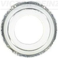 Image de REINZ 70 25792 00 Joint De Queue Soupape RENAULT: R5 3/5 portes, TWINGO 1, Rapid