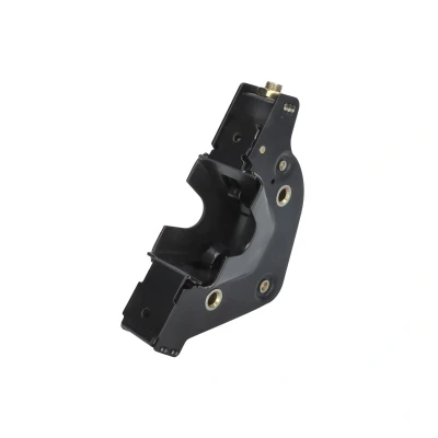 Image de DT Spare Parts 1.22486 Serrure De Porte arrière SCANIA: P,G,R,T series