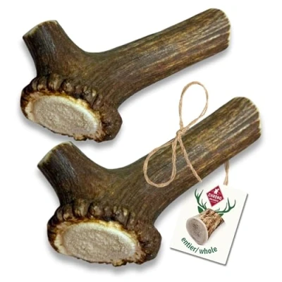 Image de ChronoBalance® Bâton L (Lot de 2) à mâcher en Bois cerf pour Chiens: Jouet Naturel mastiquer, 100% cerf, favorisant l&#039;hygiène Dentaire, sans additifs, Durable