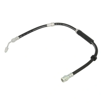 Image de DELPHI LH7409 Flexible De Frein 650 M10x1