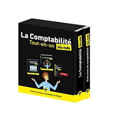Image de La Comptabilité Tout en un pour les Nuls, 2e éd Livre d’occasion Très bon