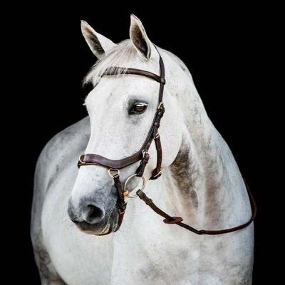 Image de Rambo Micklem Multi Bridle Nouveau Dark Havana Cob