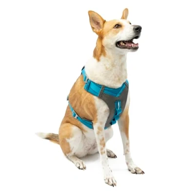 Image de Kurgo Journey (TM) Chiens Course à Pied Harnais, Chien Marche randonnée Harnais pour Chien, X Large, Grey/Blue (2018)