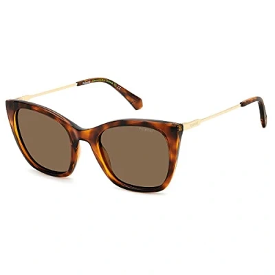 Image de Polaroid PLD 4144/s/x Sunglasses, 086/SP Havana, 52 Unisex