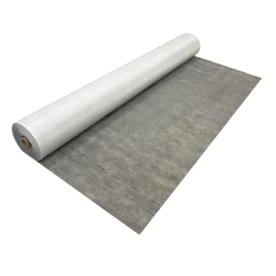 Image de EINSIDE Toile Respirante sous Toit, Membrane de Toit 140 g/m²