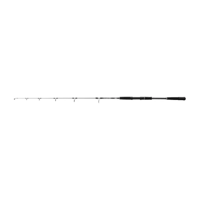 Image de Mitchell Tanager SW Jig, Canne à pêche, pêche côtière/côtière, conçue pour Le Jigging et la en Bateau, idéale morue, Linge, flétan Autres Poissons d&#039;eau salée, Unisexe,