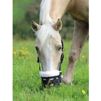 Image de Panier anti fourbure Deluxe Shires