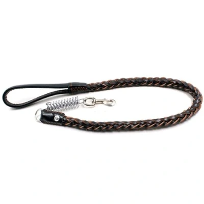 Image de Grande laisse en cuir véritable solide et durable avec ressort anti traction tressé pour animal domestique