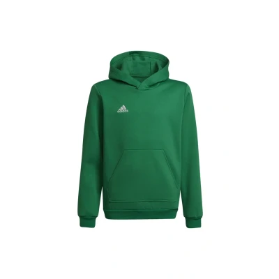 Image de Sweatshirt à capuche enfant adidas Entrada 22
